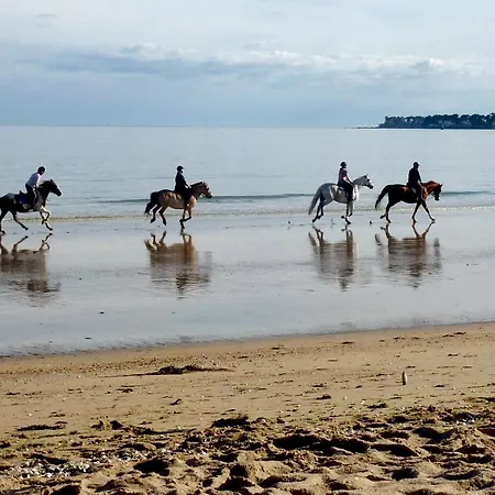 La Kamp alanı Saint-Hilaire-de-Riez